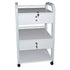 Janet Beauty Trolley