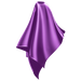 Wahl Polyester 100% Waterproof Cape Purple WP4002PU