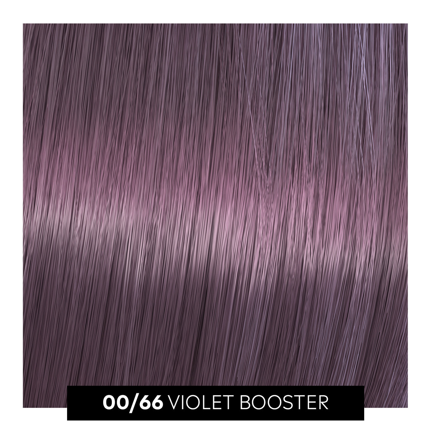 00/66 violet booster